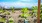 Community Gardens