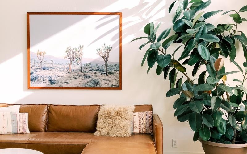 a couch and a plant in a room with a wall with art